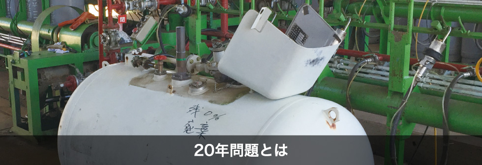 20年問題とは